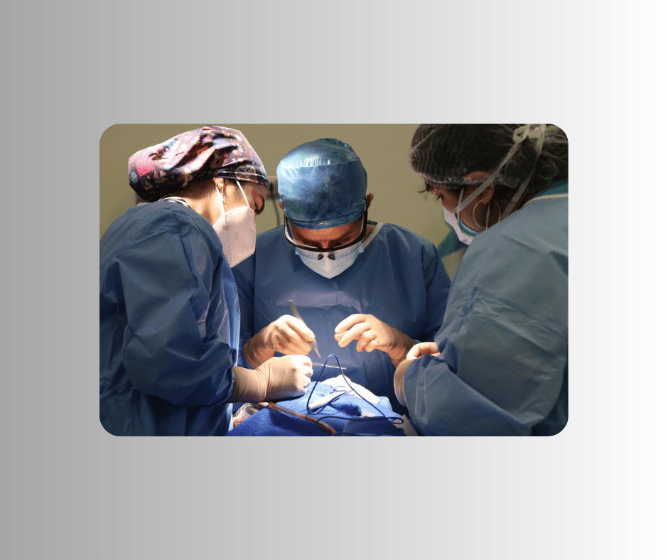 التدريب الطبي